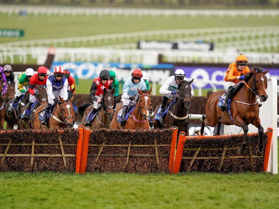 Heaven Help Us out in front at Cheltenham